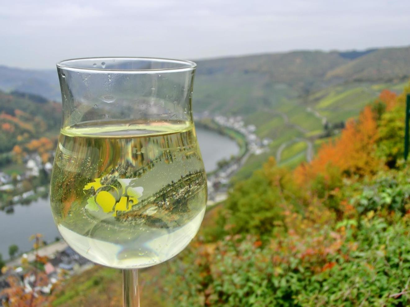 Mosel Ferienhaus Zell 外观 照片